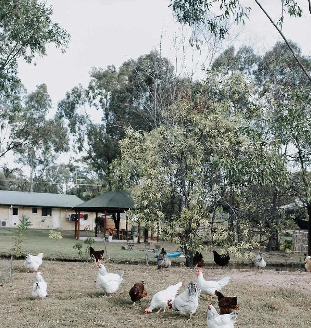 Bethesda Farmstead By Tiny Away Villa Gatton 0*,  Australia