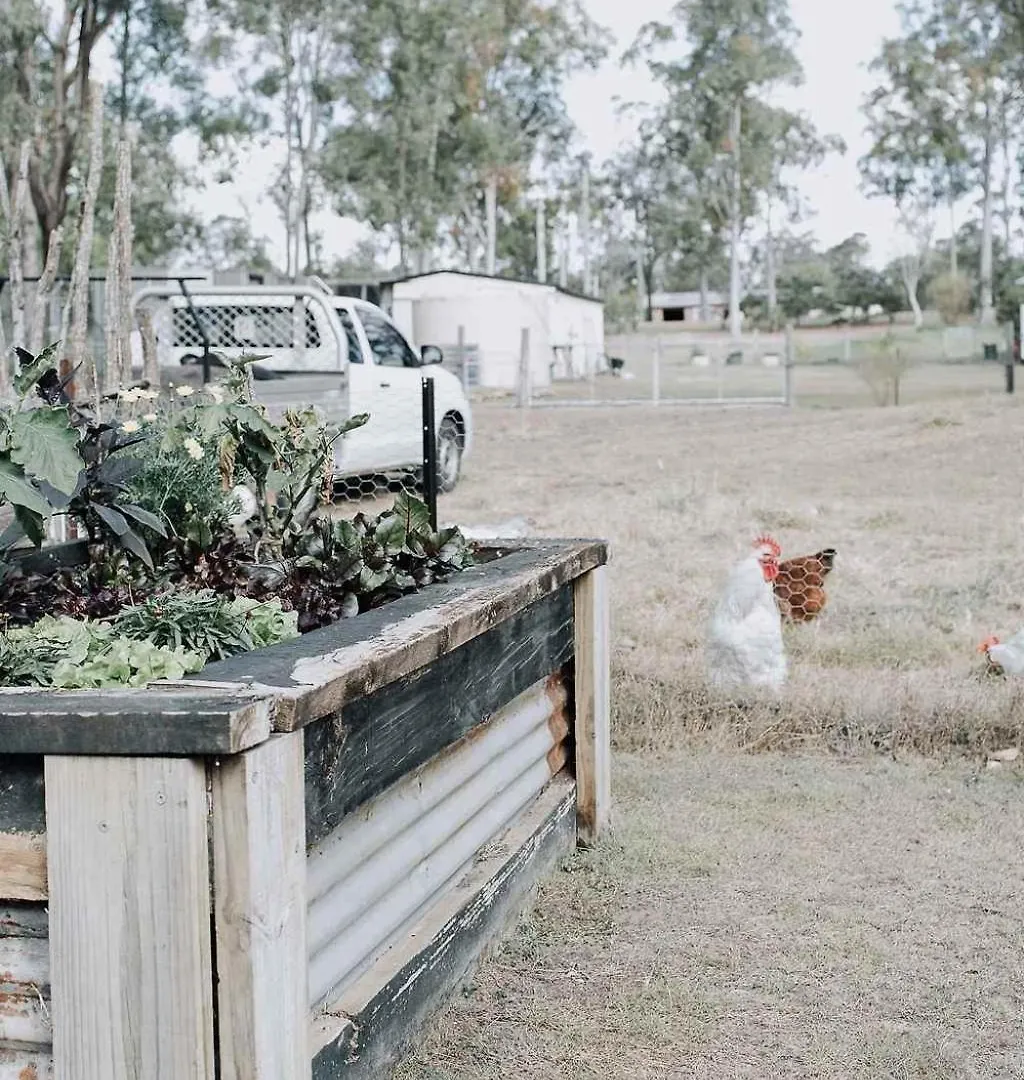 Bethesda Farmstead By Tiny Away Villa Gatton Holiday home